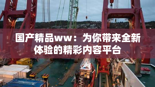 国产精品ww：为你带来全新体验的精彩内容平台