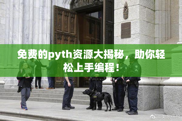 免费的pyth资源大揭秘，助你轻松上手编程！
