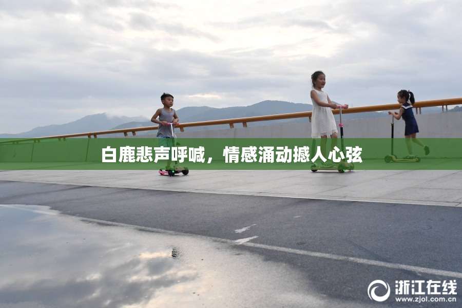 白鹿悲声呼喊，情感涌动撼人心弦