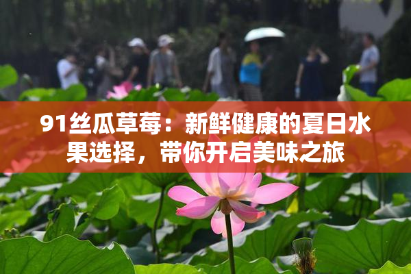 91丝瓜草莓：新鲜健康的夏日水果选择，带你开启美味之旅