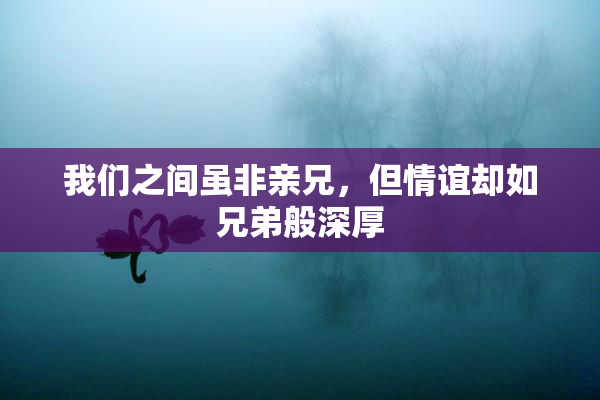 我们之间虽非亲兄，但情谊却如兄弟般深厚