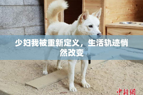少妇我被重新定义，生活轨迹悄然改变
