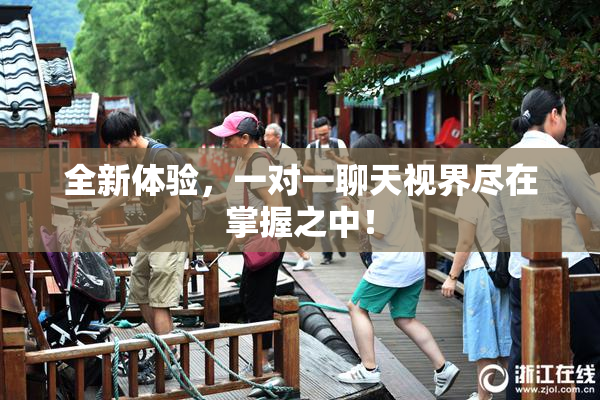 全新体验，一对一聊天视界尽在掌握之中！