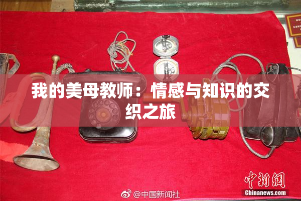 我的美母教师：情感与知识的交织之旅