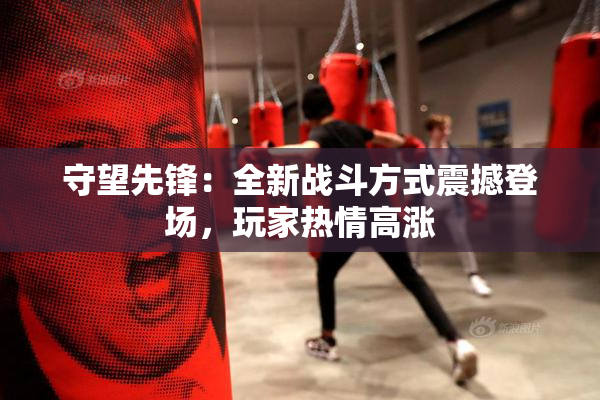 守望先锋：全新战斗方式震撼登场，玩家热情高涨