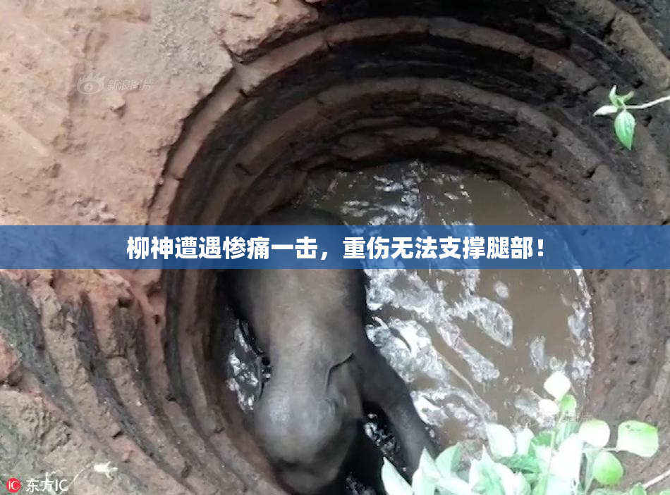 柳神遭遇惨痛一击，重伤无法支撑腿部！
