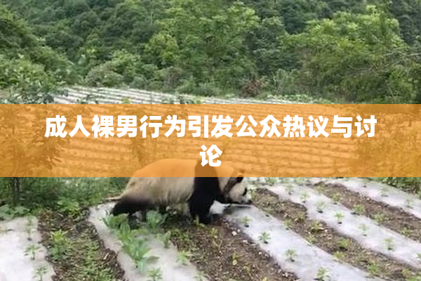 成人裸男行为引发公众热议与讨论