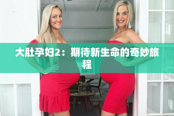大肚孕妇2：期待新生命的奇妙旅程