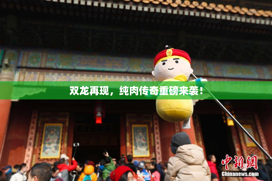 双龙再现，纯肉传奇重磅来袭！