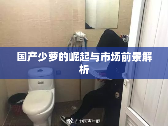 国产少萝的崛起与市场前景解析