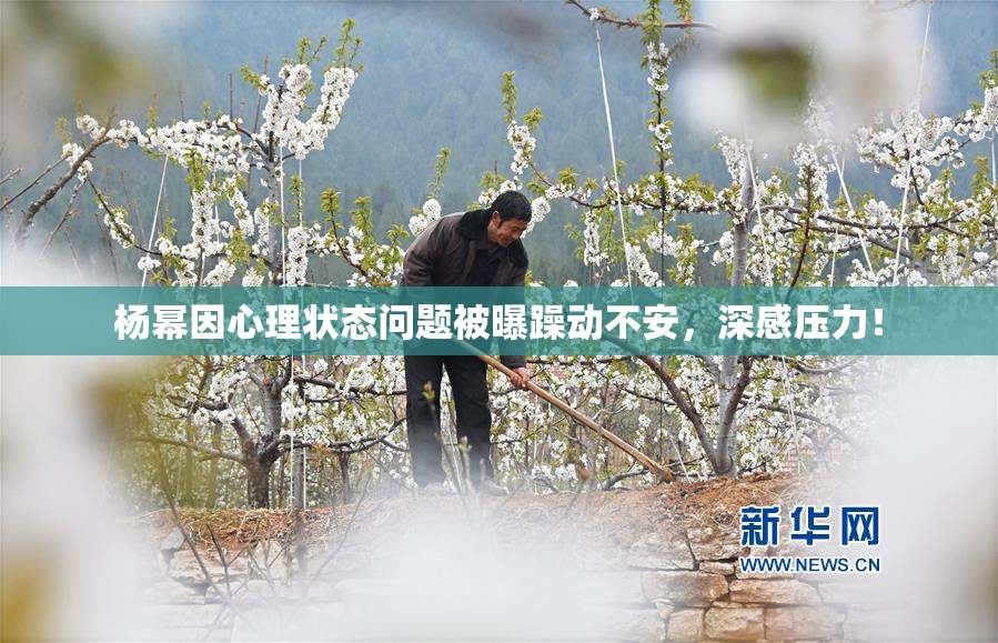 杨幂因心理状态问题被曝躁动不安，深感压力！