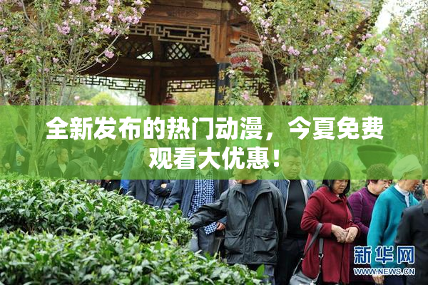 全新发布的热门动漫，今夏免费观看大优惠！