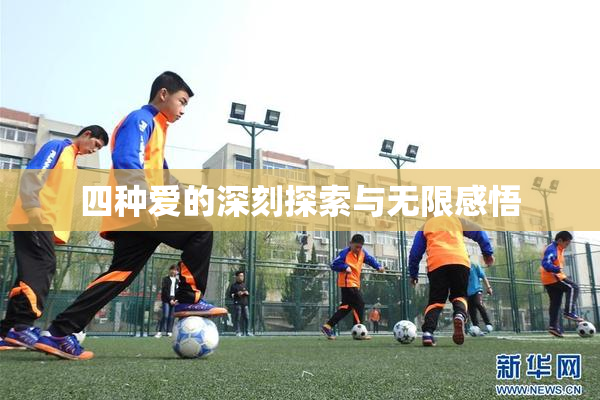 四种爱的深刻探索与无限感悟
