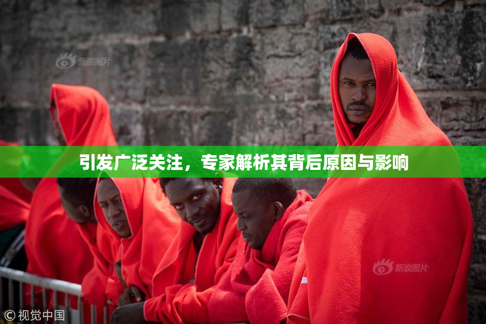 引发广泛关注，专家解析其背后原因与影响