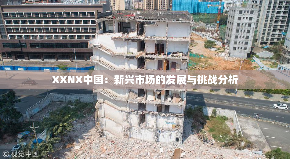 XXNX中国：新兴市场的发展与挑战分析