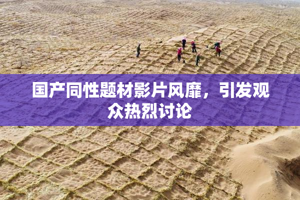国产同性题材影片风靡，引发观众热烈讨论