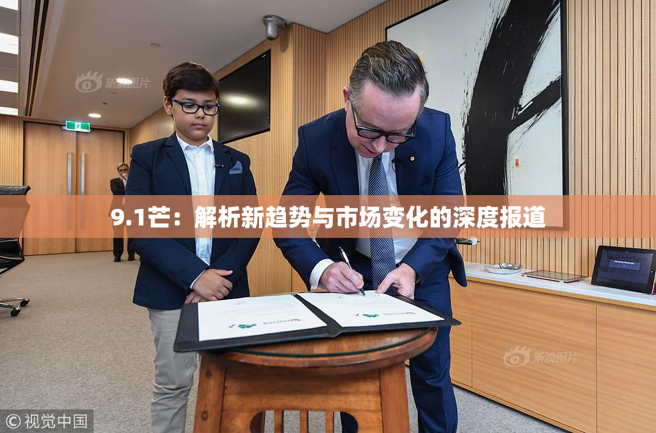 9.1芒：解析新趋势与市场变化的深度报道