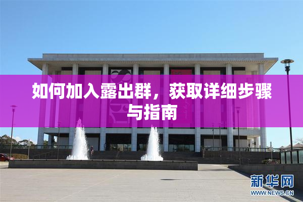 如何加入露出群，获取详细步骤与指南