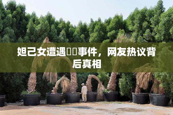 妲己女遭遇❌‌事件，网友热议背后真相