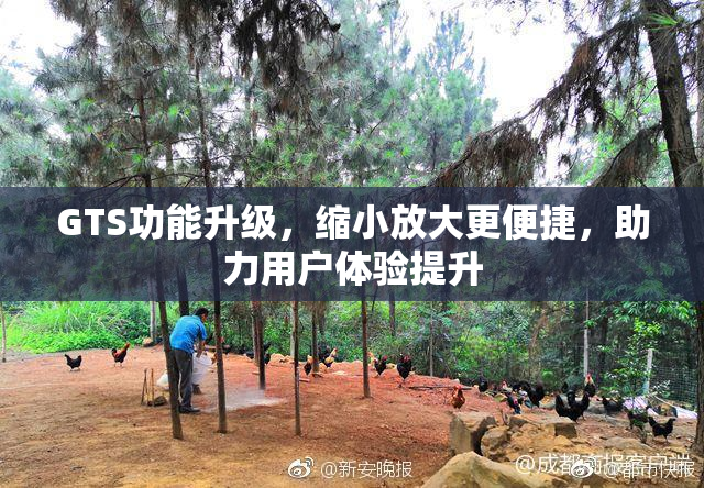 GTS功能升级，缩小放大更便捷，助力用户体验提升