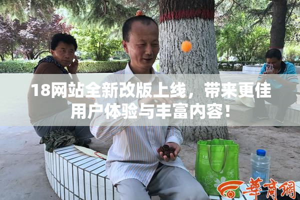 18网站全新改版上线，带来更佳用户体验与丰富内容！