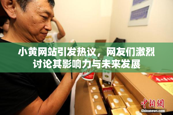 小黄网站引发热议，网友们激烈讨论其影响力与未来发展