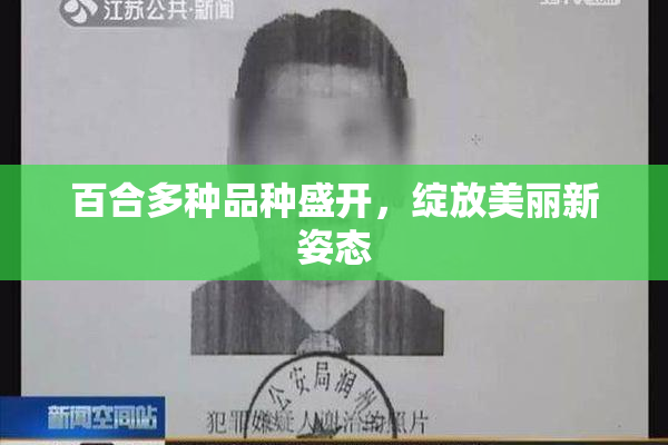 百合多种品种盛开，绽放美丽新姿态