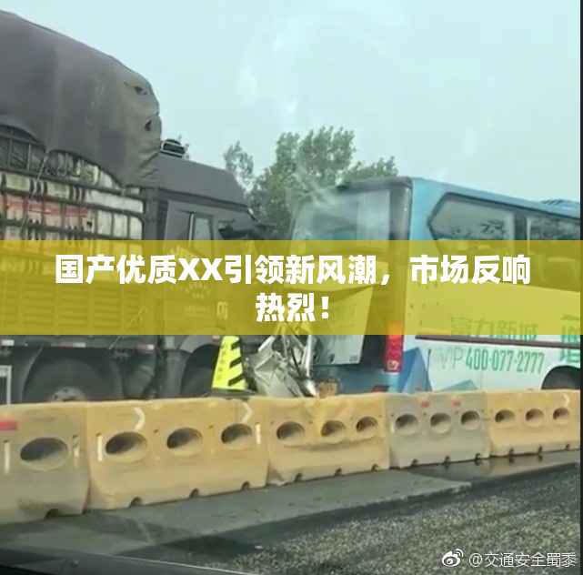 国产优质XX引领新风潮，市场反响热烈！