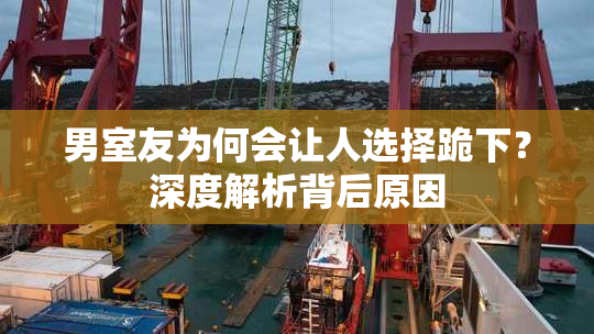 男室友为何会让人选择跪下？深度解析背后原因