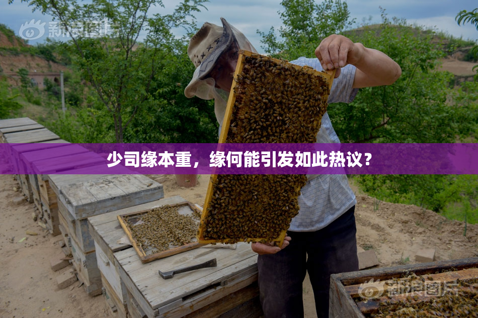 少司缘本重，缘何能引发如此热议？