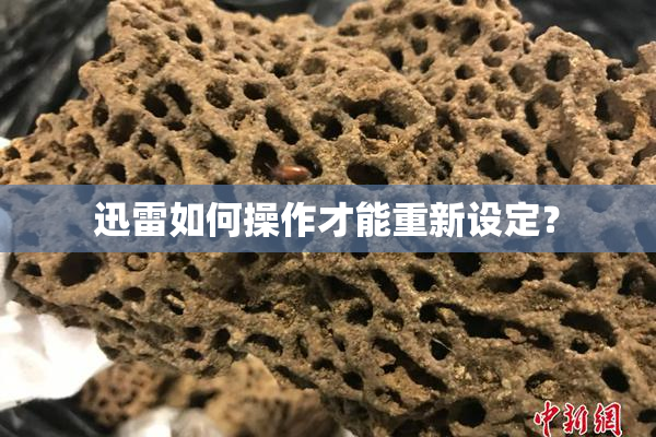 迅雷如何操作才能重新设定？