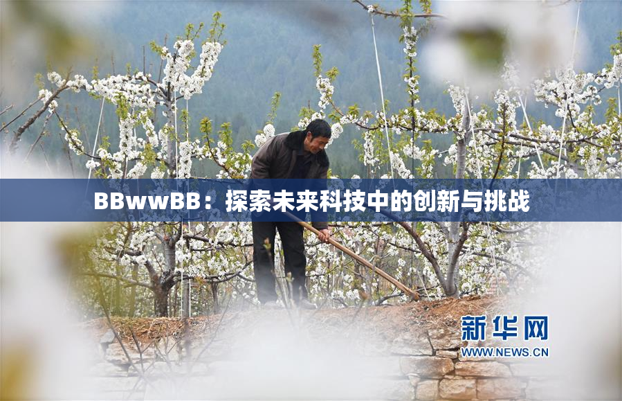 BBwwBB：探索未来科技中的创新与挑战