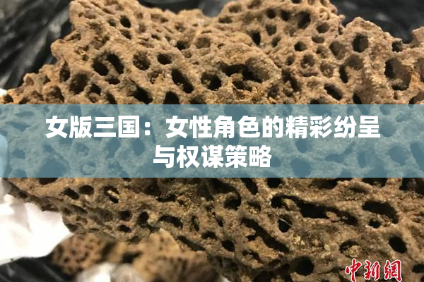 女版三国：女性角色的精彩纷呈与权谋策略