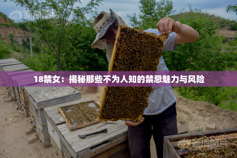 18禁女：揭秘那些不为人知的禁忌魅力与风险