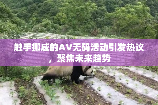 触手挪威的AV无码活动引发热议，聚焦未来趋势