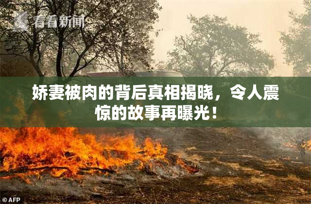 娇妻被肉的背后真相揭晓，令人震惊的故事再曝光！