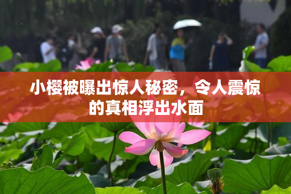 小樱被曝出惊人秘密，令人震惊的真相浮出水面