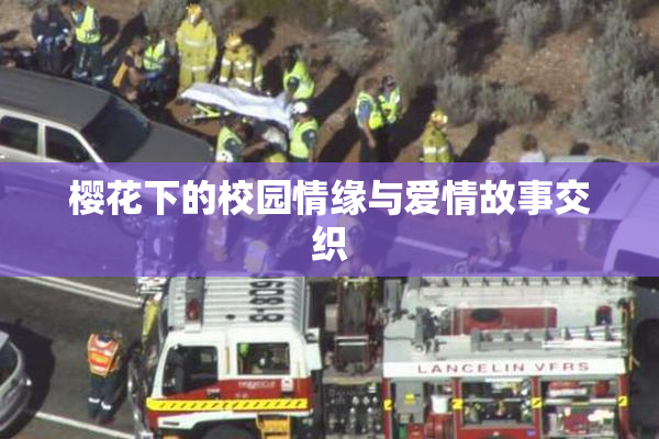 樱花下的校园情缘与爱情故事交织