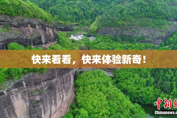 快来看看，快来体验新奇！
