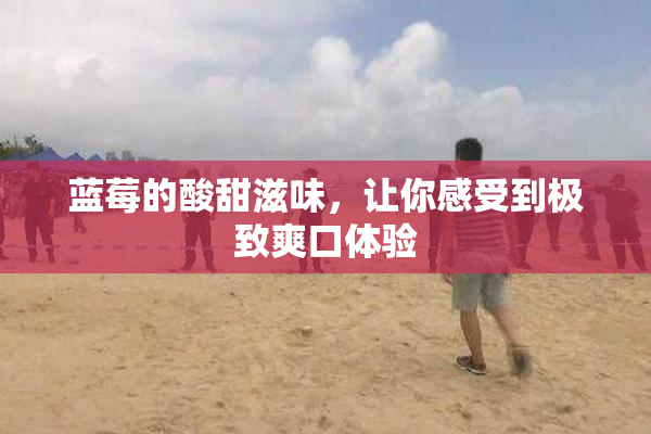 蓝莓的酸甜滋味，让你感受到极致爽口体验