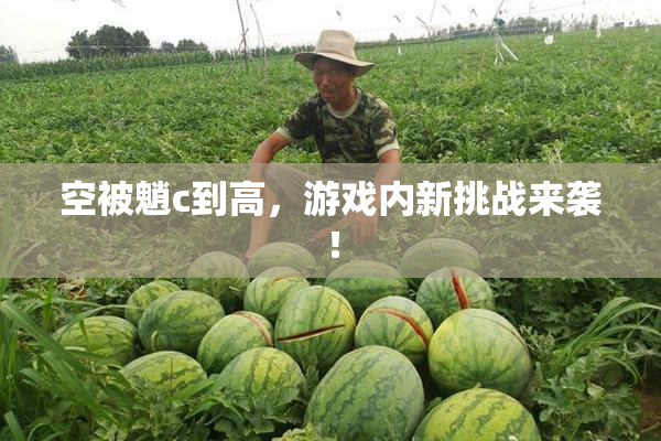 空被魈c到高，游戏内新挑战来袭！