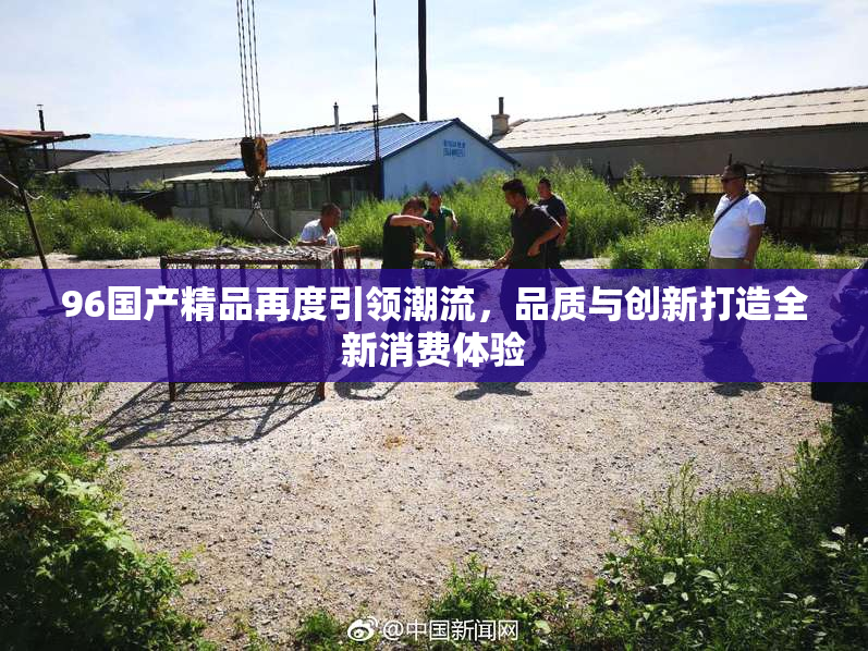 96国产精品再度引领潮流，品质与创新打造全新消费体验
