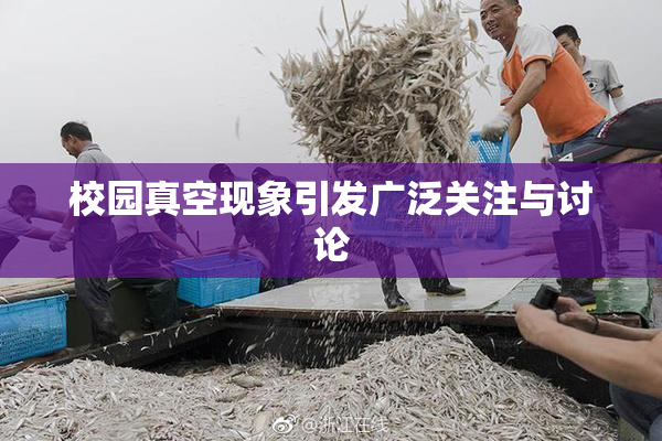 校园真空现象引发广泛关注与讨论
