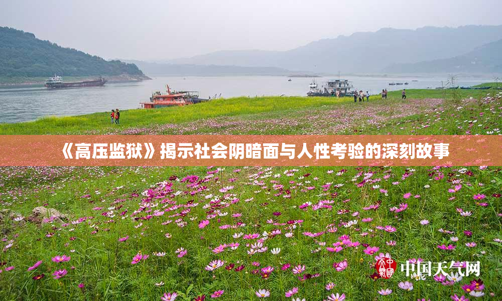 《高压监狱》揭示社会阴暗面与人性考验的深刻故事
