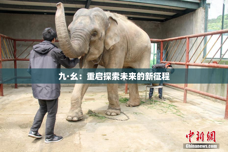 九·幺：重启探索未来的新征程