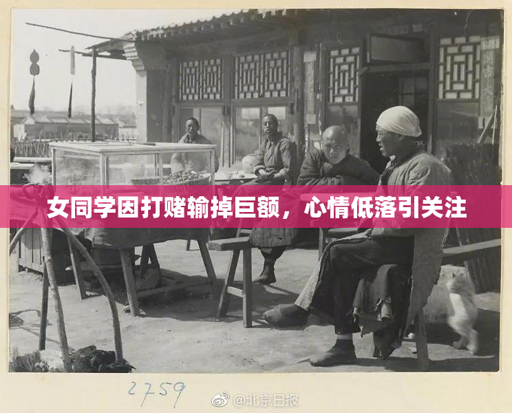 女同学因打赌输掉巨额，心情低落引关注