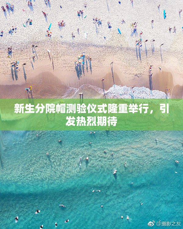 新生分院帽测验仪式隆重举行，引发热烈期待