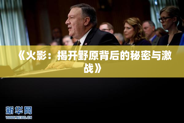 《火影：揭开野原背后的秘密与激战》