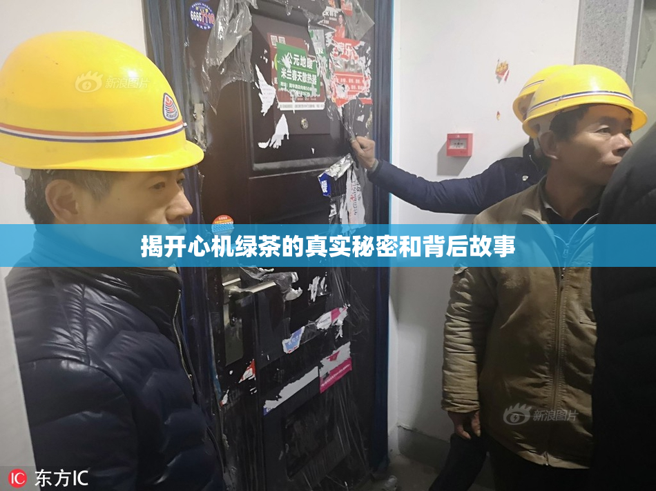 揭开心机绿茶的真实秘密和背后故事