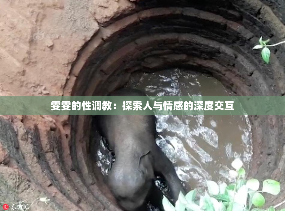 雯雯的性调教：探索人与情感的深度交互